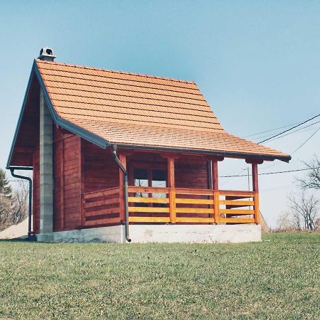 Brvnara Zecevic Villa Zlatibor Exterior foto